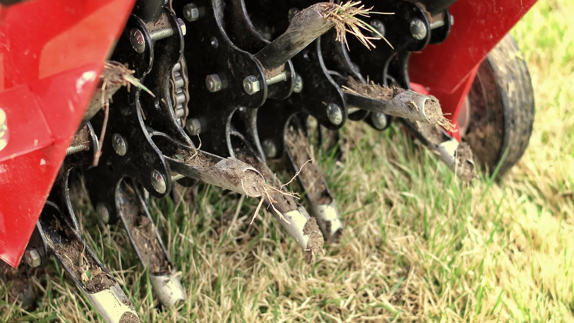 How to Deal With the Cores of Soil Left on Your Lawn After Core Aeration