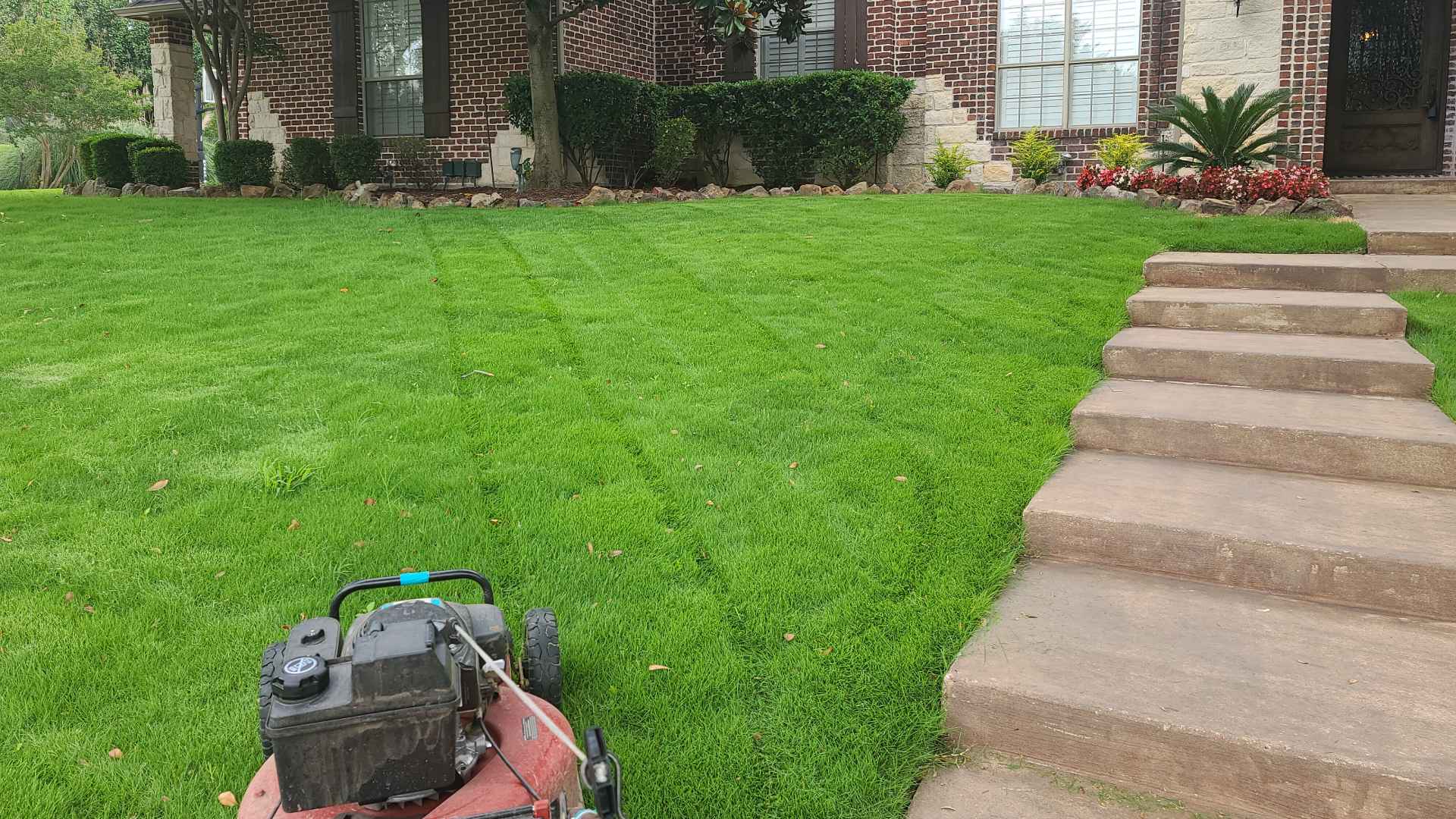 Professional creating mowing patterns for a lawn in Wylie, TX.