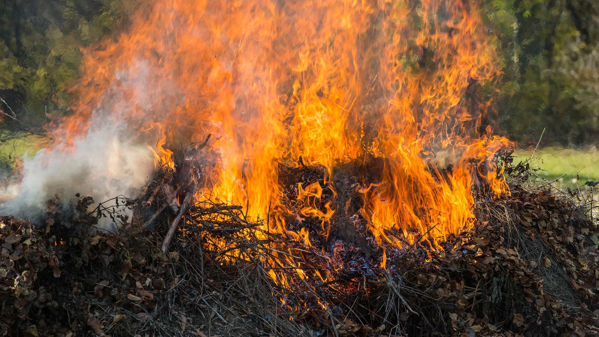Thinking About Burning the Leaf Piles on Your Lawn? Think Again!