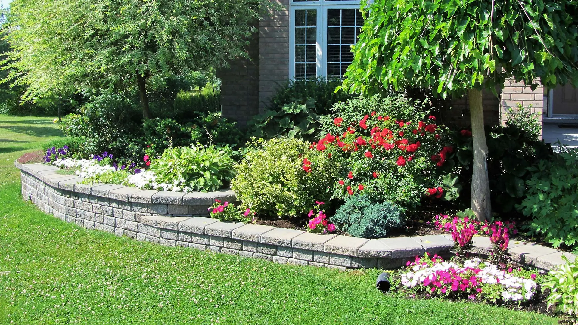 A healthy and colorful landscape bed next to a home in Rose Hill, TX.