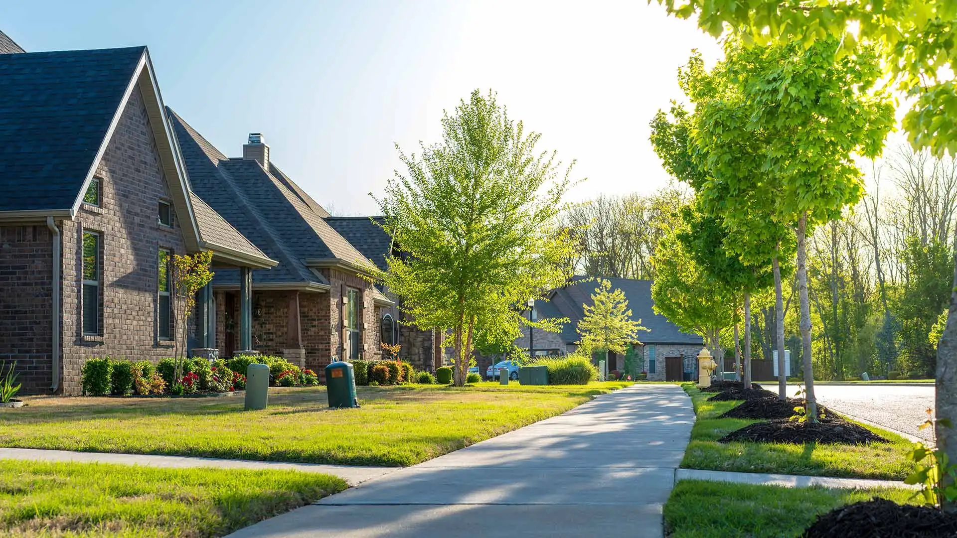 Greenery in a neighborhood in Plano, TX.