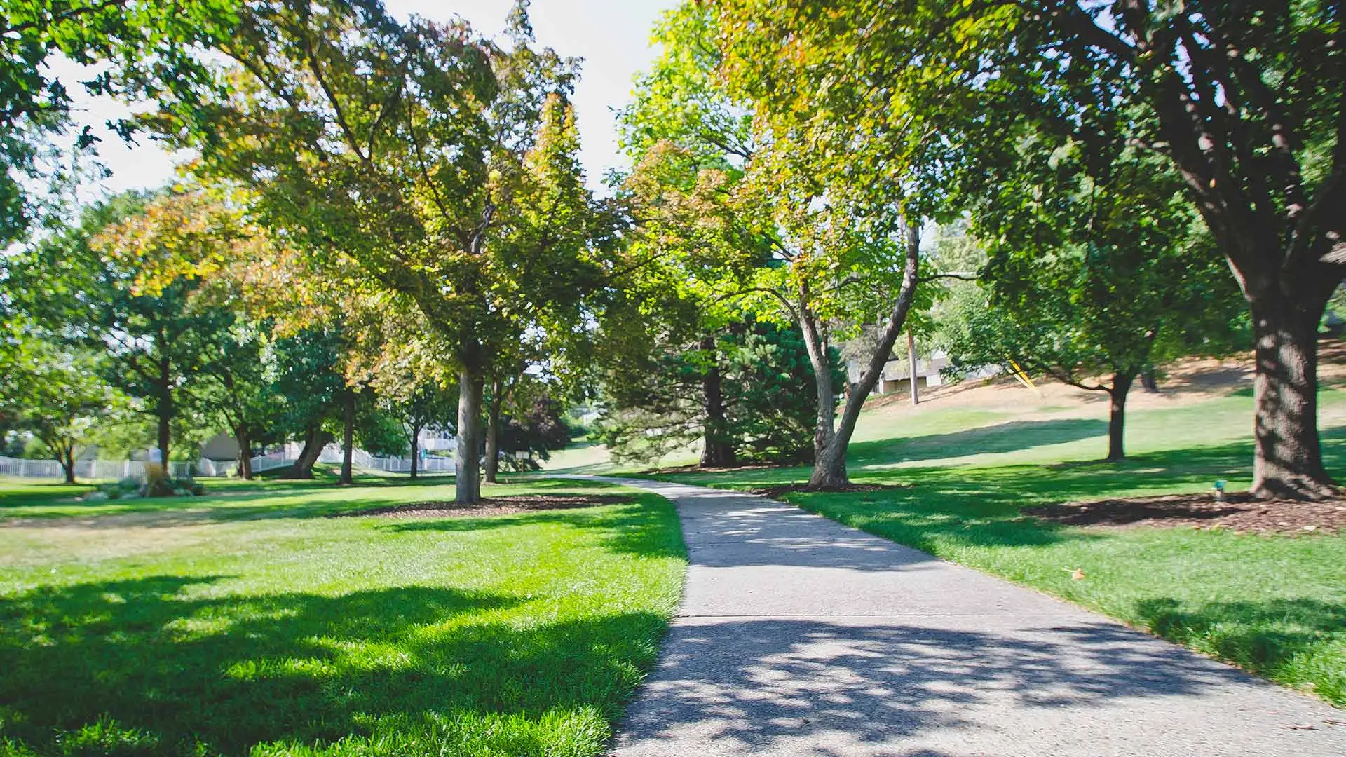 Landscape area of a neighborhood in Garland, TX.