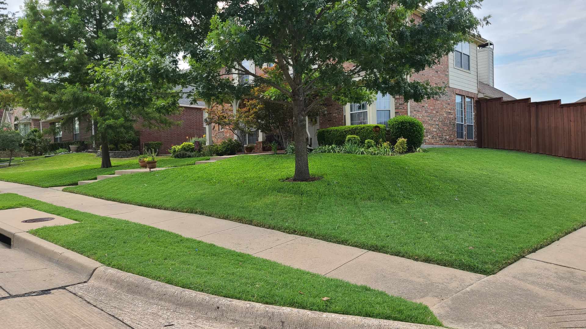 Client's lawn maintained by workers from Arboreal in Rockwall, TX.