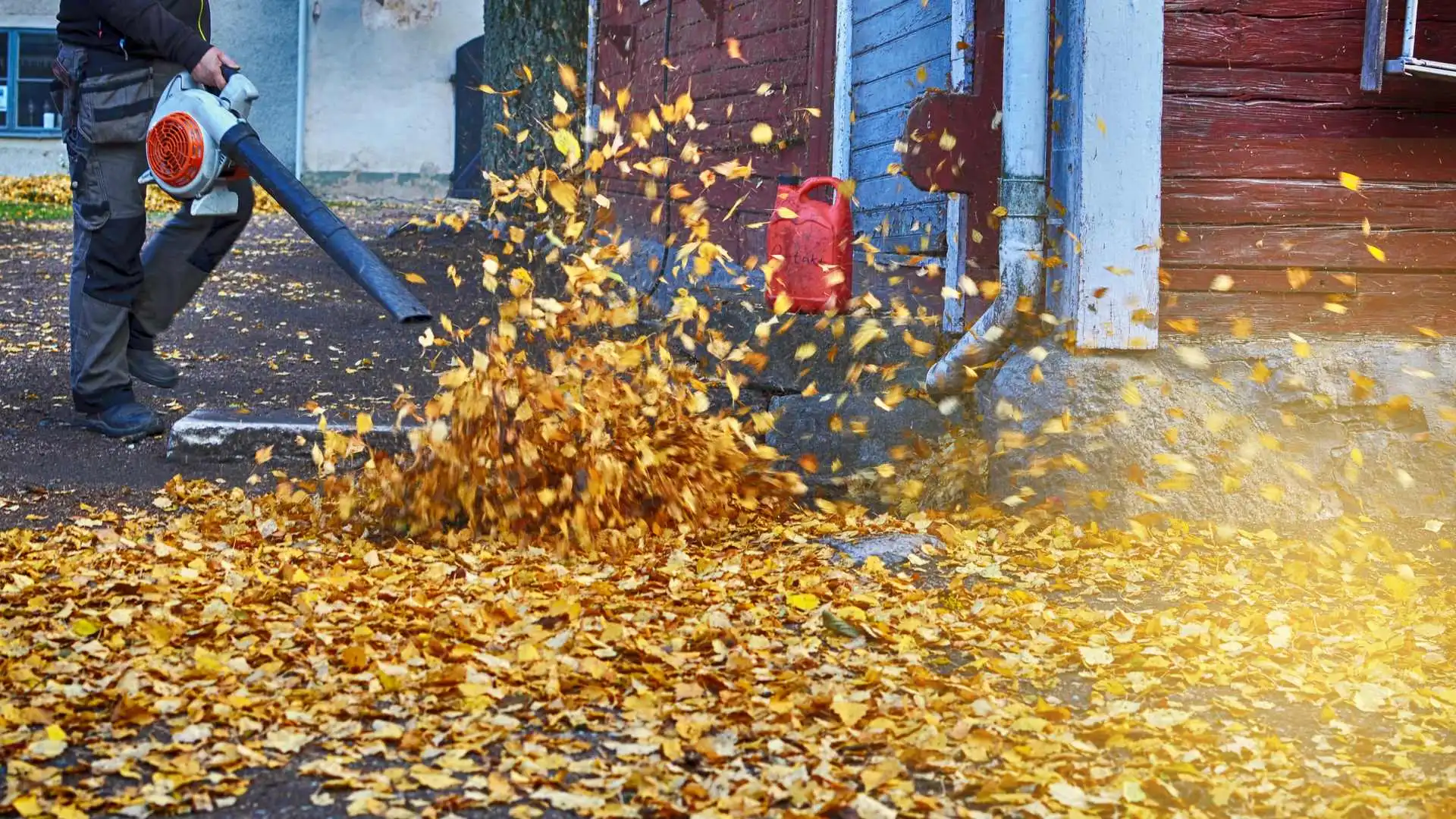 Leaves on a driveway being blown away by a professional with a leaf blower in Rowlett, TX.