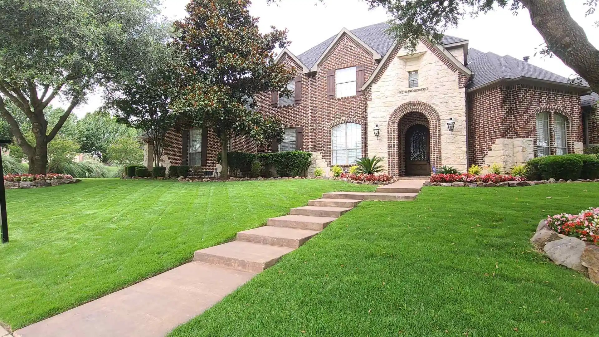 Well maintained and fertilized home lawn in Rockwall, TX.