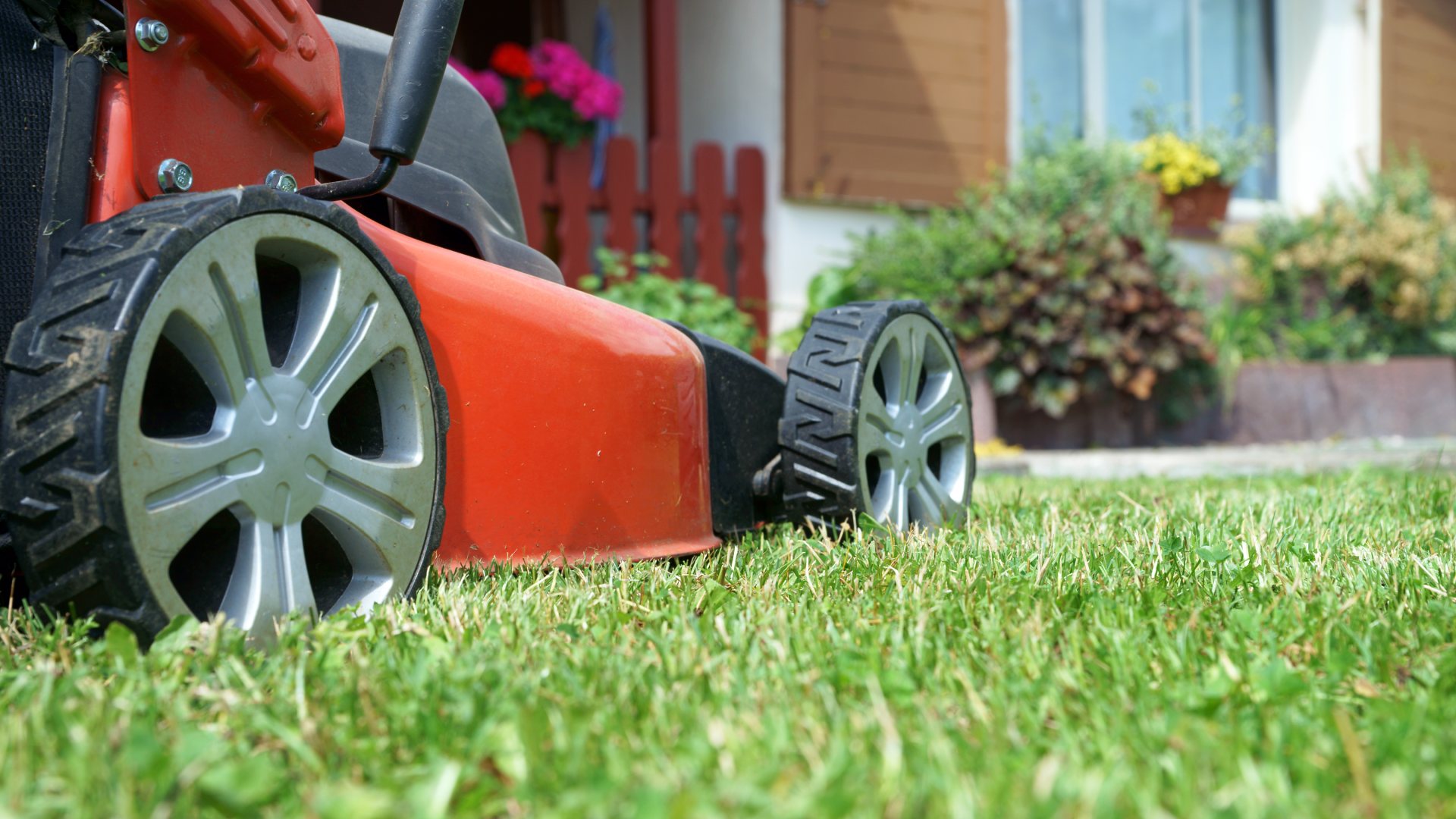 Break up With Your Mowing Company Immediately if They Don't Do These Things!