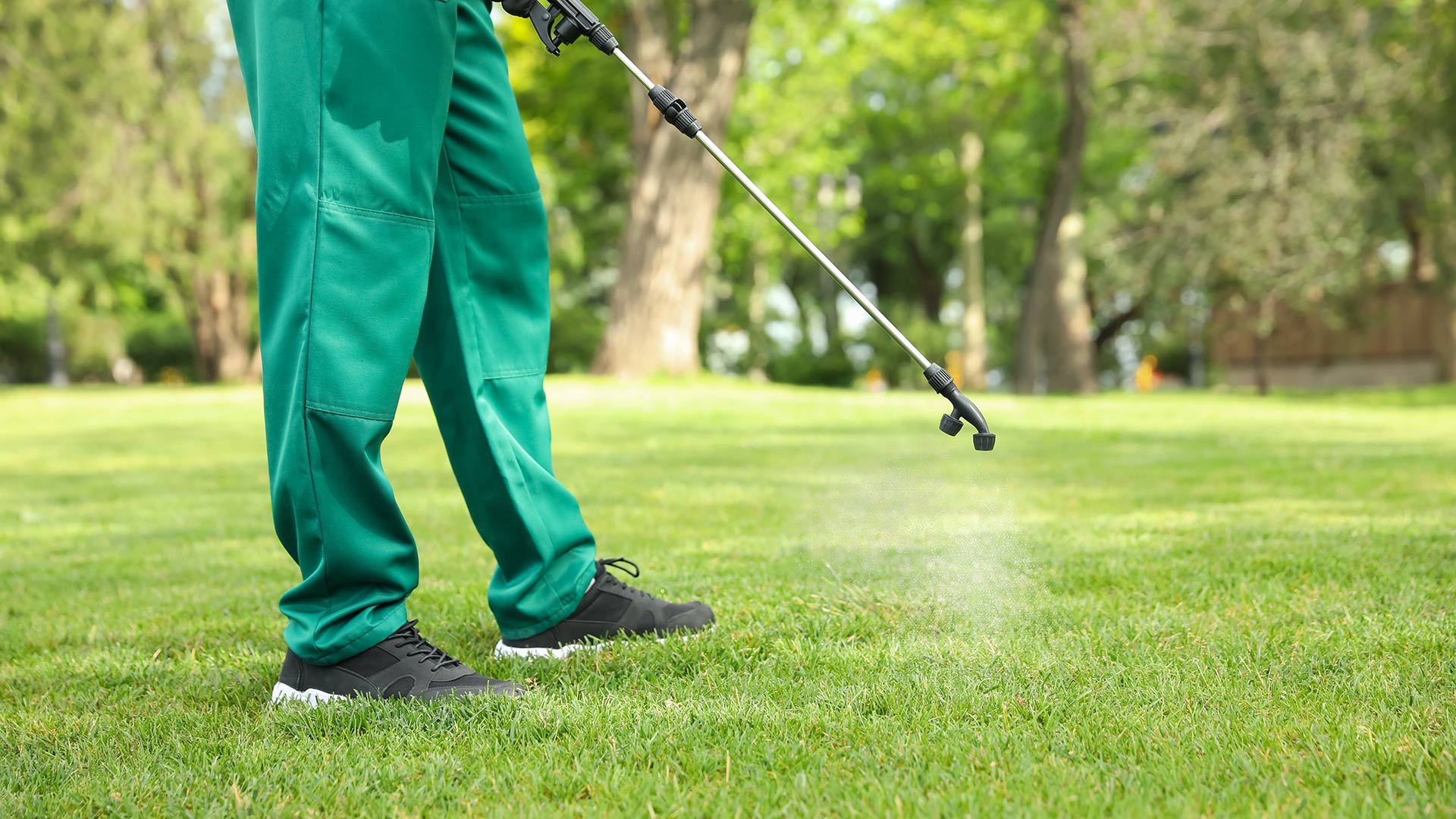 Do I Really Need to Apply a Pre-Emergent Weed Control Treatment to My Lawn?