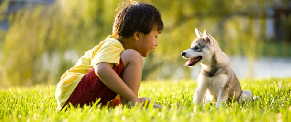A child and a dog enjoying their treated lawn in Wylie, TX.