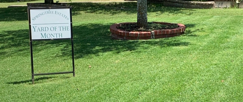 A client with yard of the month signage placed on maintained lawn in Wylie, TX.