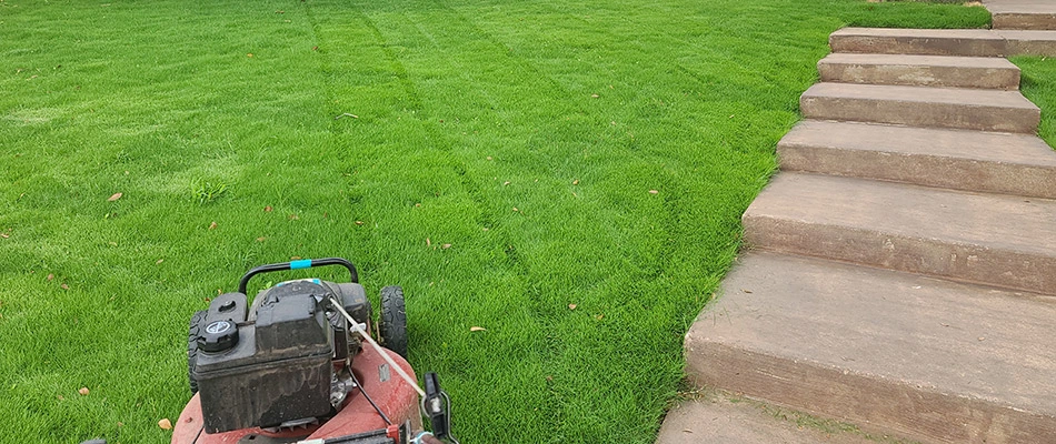 Arboreal lawn care technician mowing a client's lawn in Rockwall, TX.
