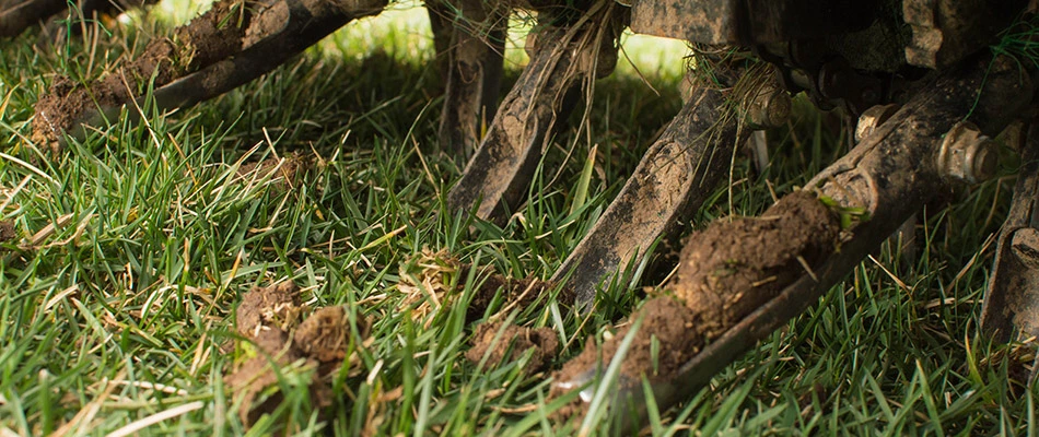 Core aerator in lawn in Plano, TX.