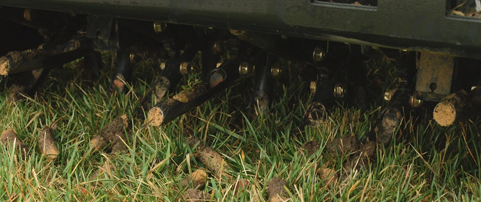 Core aeration machine outputting cores into lawn in Rowlett, TX.