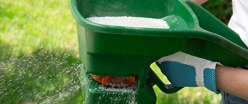 Fertilizer being spread among lawn in Wylie, TX.