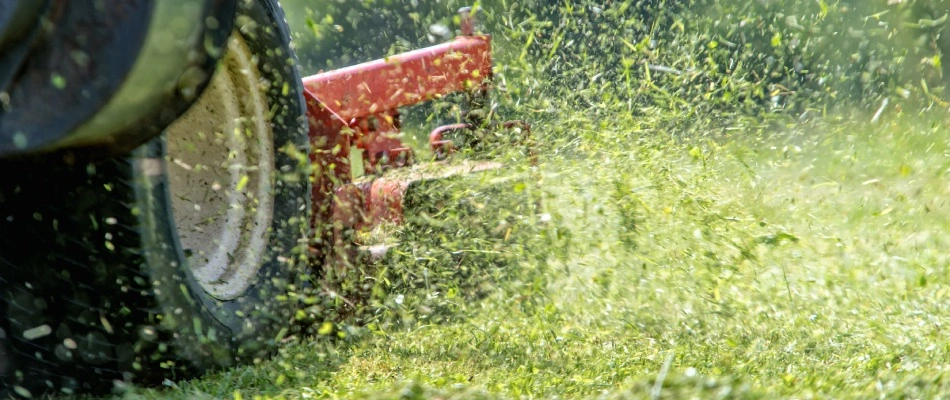 Grass clippings from lawn mowing service being mulched over lawn in Rockwall, TX.