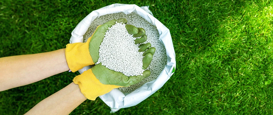 Our lawn care specialist getting ready to apply fertilizer to a lawn in Rowlett, TX.