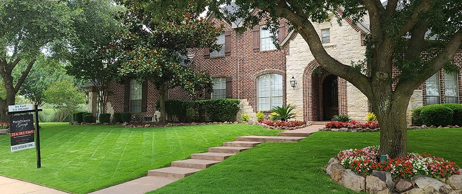 Healthy maintained lawn in Forney, TX.