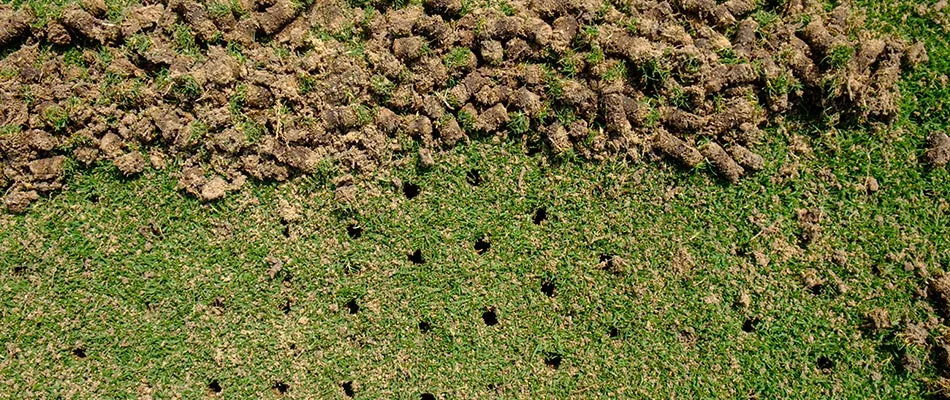 Holes from aeration service in Heath, TX.