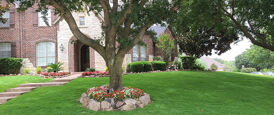 Landscaping beds maintained by Arboreal in Rowlett, TX.