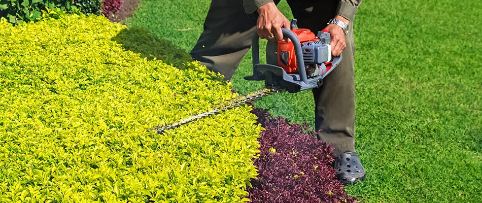 Lawn care technician trimming shrubs and hedges in Wylie, TX.