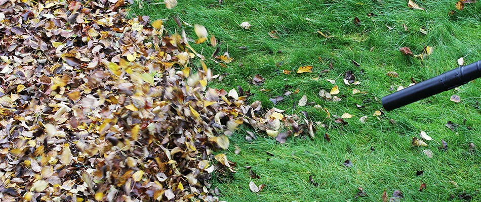 Leaf blower blowing away pile of leave on a lawn in Rockwall, TX.