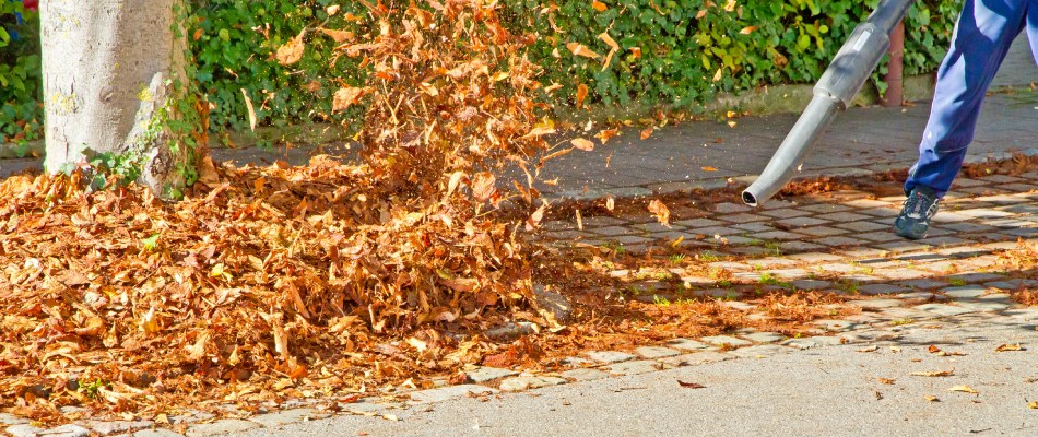 Leaves being blown onto sidewalk in Rockwall, TX.