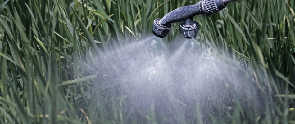 Liquid fertilizer being sprayed over a lawn in Rowlett, TX.