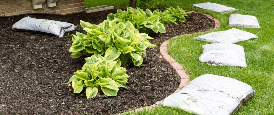 New bags of brown mulch being installed for a landscape bed in Rowlett, TX.