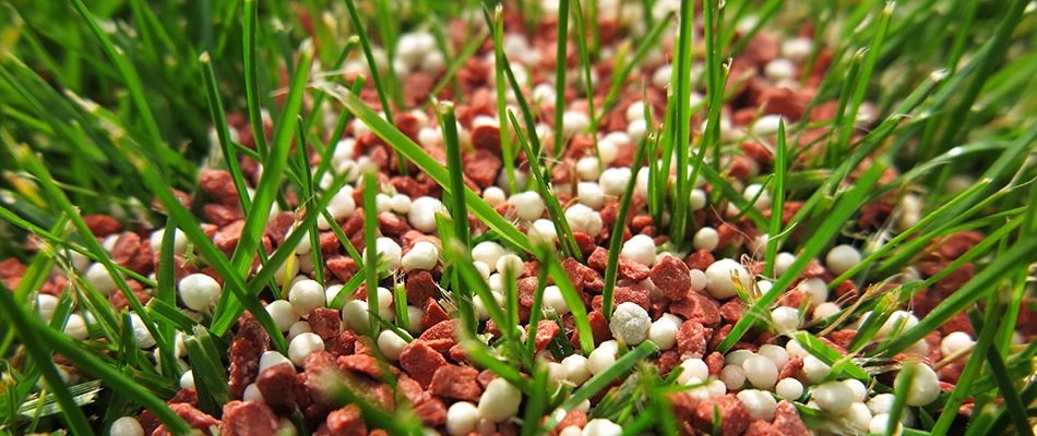 A pile of fertilizer ready to be applied to a lawn in Heath, TX.