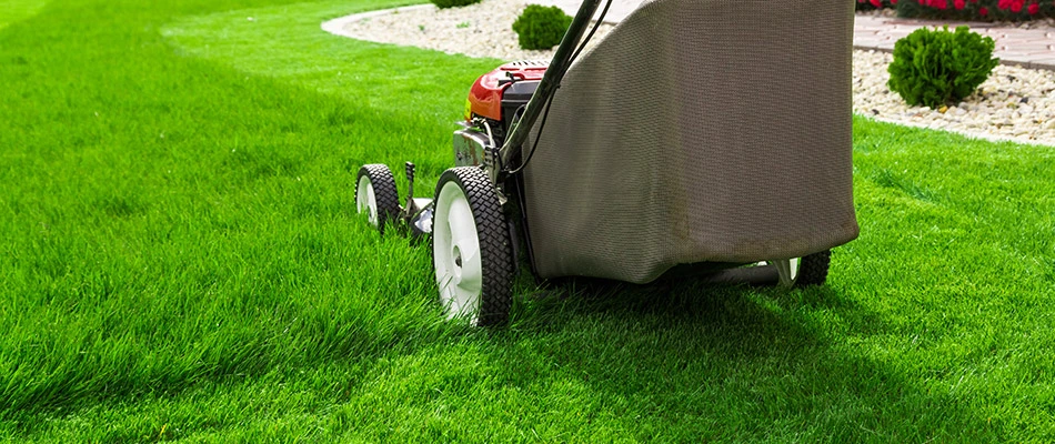 A client in Wylie, TX mowing their healthy green lawn after regular lawn care.