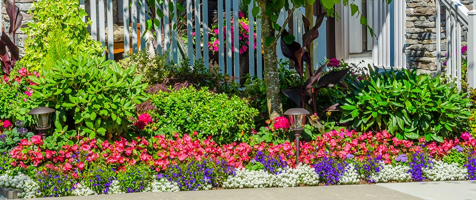 A colorful weed-free landscape bed full of flowers in Heath, TX.