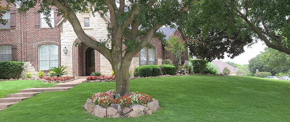 Well maintained lawn done by professionals in Rockwall, TX.