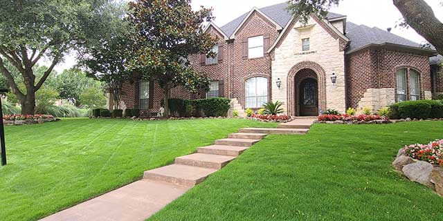 Beautiful lawn with regular care near Wylie, TX.