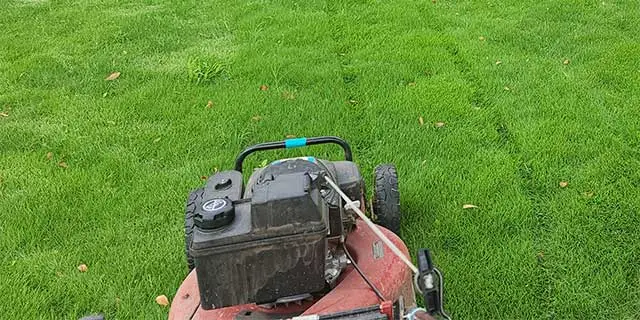 A lawn being mowed near Wylie, TX.