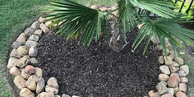 Fresh mulch installed in a landscape bed with lining rocks near Heath, TX.